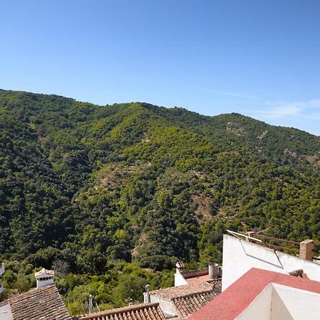 Jubrique Casa La Parra 빌라 외부 사진