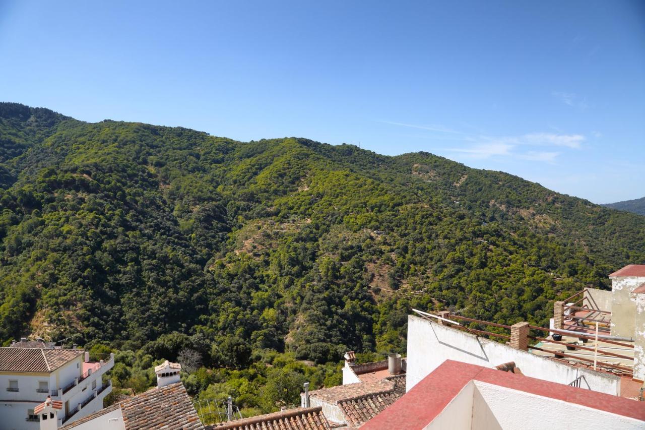 Jubrique Casa La Parra 빌라 외부 사진